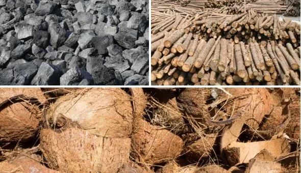 Raw materials for extruded activated carbon